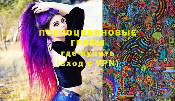 ПСИЛОЦИБИНОВЫЕ ГРИБЫ Карталы