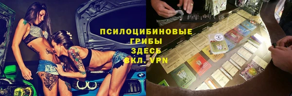 ПСИЛОЦИБИНОВЫЕ ГРИБЫ Карталы