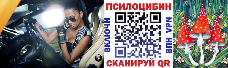 Псилоцибиновые грибы MAGIC MUSHROOMS  Щёкино 